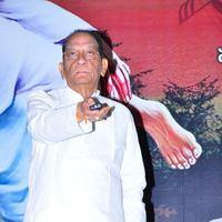 Sri Sai Gananjali audio Album launch - Pictures | Picture 106507